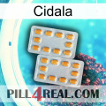 Cidala cialis4